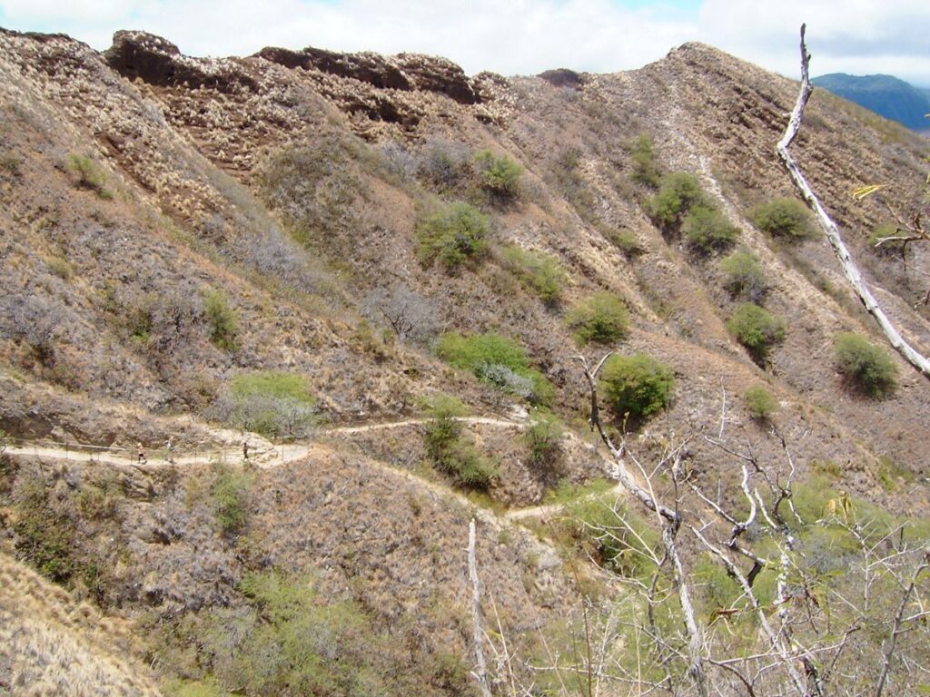 ダイヤモンドヘッドの火口の中を通る登山道